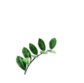background plant 2